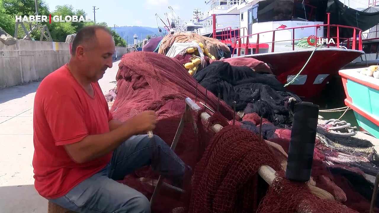 Bu yıl hamsi yılı olacak: Karadenizli balıkçılar hamsiden umutlu