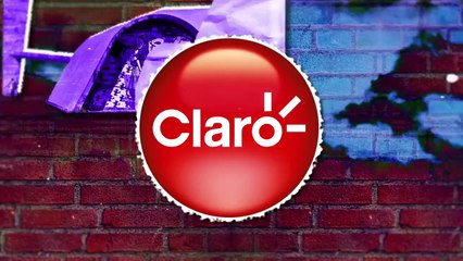 Ricardo Amado 02/08/2023