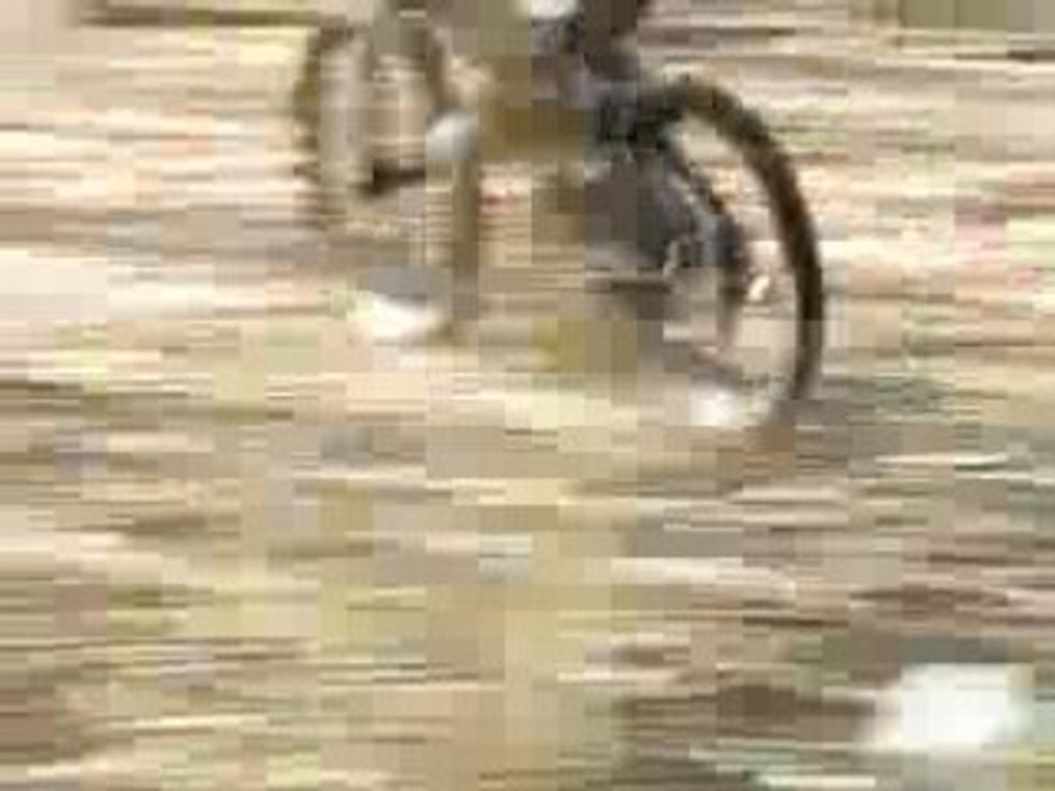 DH Spy 12