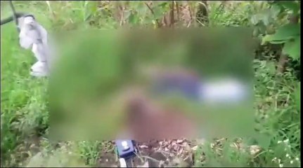 कान्हा पार्क में शिकारियों की घुसपैठ रोकने ऑपरेशन मानसून, हर गतिविधियों पर नजर