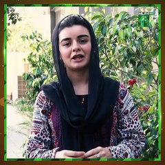 Individuals Making Our Country a Better Place by Positively Impacting Fellow Citizens#14thaugust2023