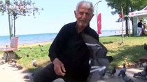 Ordu'da ağzıyla günde 500 güvercini besliyor