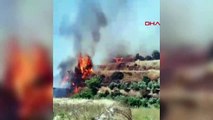 Antakya'da Zeytinlikte Çıkan Yangın Ormana Sıçradı