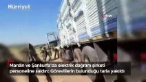 Mardin ve Şanlıurfa’da elektrik dağıtım şirketi personeline saldırı: Görevlilerin bulunduğu tarla yakıldı