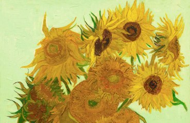 Babies can pick out their favourite Vincent van Gogh painting