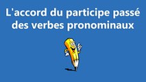 L'accord du participe passé des verbes pronominaux  - La conjugaison