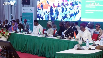 Assalto all'ambasciata francese in Niger, 'Viva Putin'