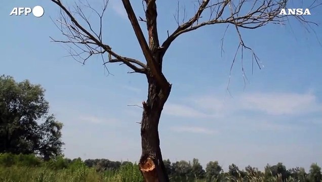 Arriva inflazione climatica, alimentari aumentano 3%