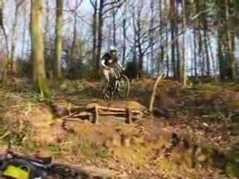 DH Spy 13