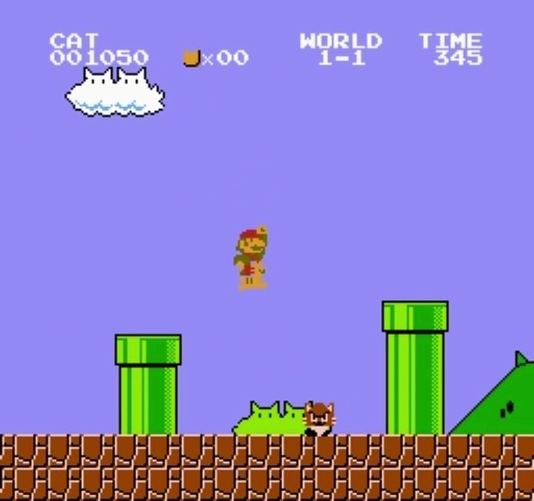 Silly Cat Adventure - nes