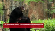 Zoo dementiert: Bären sind keine verkleideten Menschen