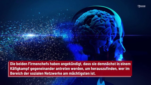 Roboter-CEO warnt: Künstliche Intelligenz könnte Elon Musk oder Mark Zuckerberg ersetzen