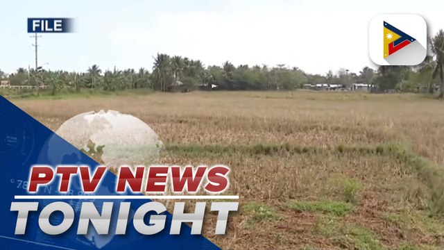 DOST scientist says climate change affects agriculture, food supply in PH