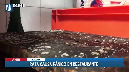 Rata causa pánico en restaurante del Callao
