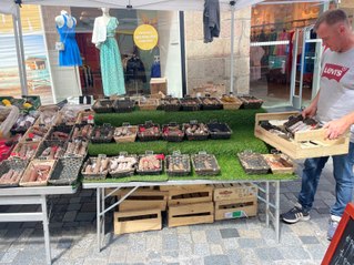 Cinq infos à retenir dans La Chronique du 3 août