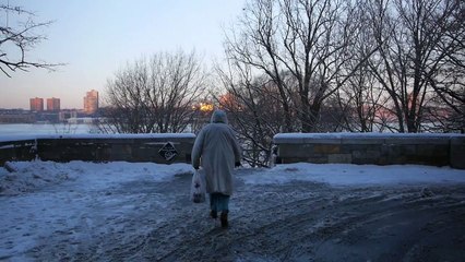 Feral Love Bande-annonce (EN)