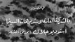 فيلم المغامرة الكبرى 1964 بطولة فريد شوقي - حسن يوسف