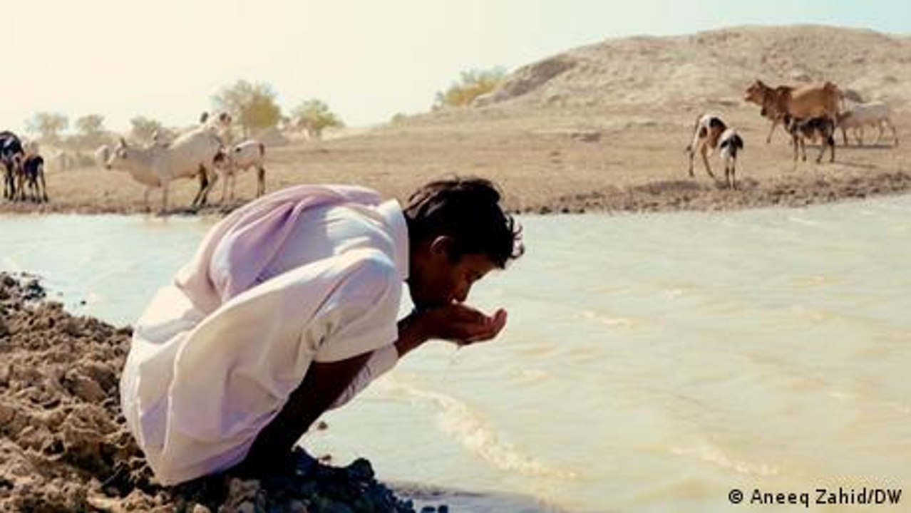 Pakistan: Cholistan desert getting too dry even for nomads