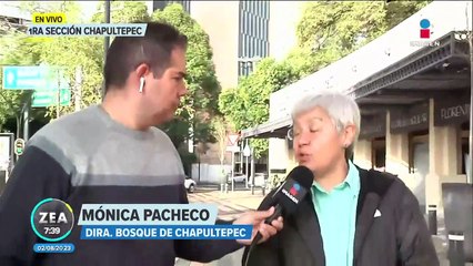 Reinauguran el mercado de las flores de Chapultepec