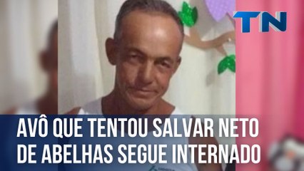 Avô que tentou salvar neto de ataque de abelhas segue internado no ES