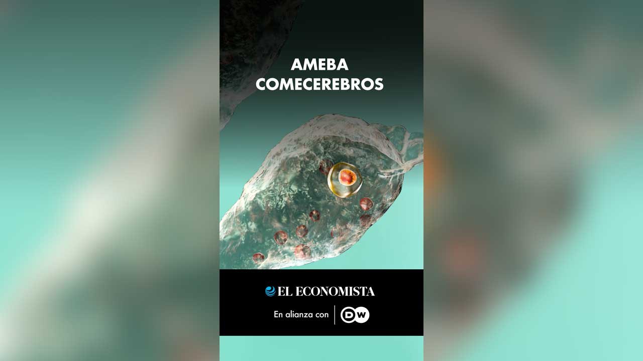 Ameba comecerebros