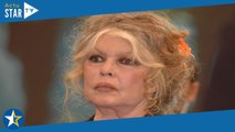Brigitte Bardot : « Comme toute personne d’un âge… », une proche bien connue donne de ses nouvelles