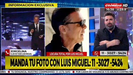 Presidenta del Club de fan de Luis miguel