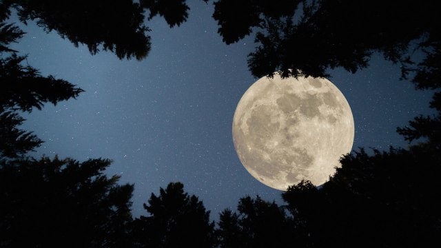 2 Supermoons, a Meteor Shower, and a Saturn Sighting — Here's What to See in the Night Sky This Month