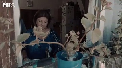 Το μυστικό της πεταλούδας Επ8