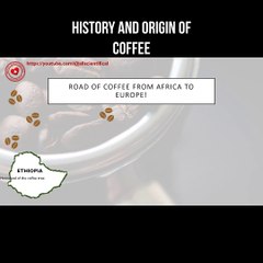 Discover the Fascinating History and Origin of Coffee ☕
