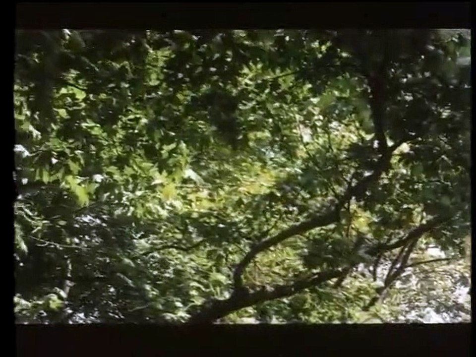 ΠΕΤΡΙΝΑ ΧΡΟΝΙΑ - 1985 - DVDRip - 720x576 - Α' Μ...