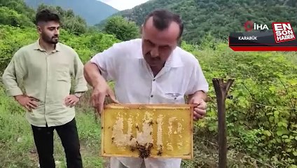 Karabük'te bal arıları petek üzerinde ‘Allah’ yazısı oluşturdu