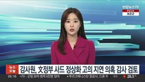 감사원, 文정부 '사드 정상화 고의 지연' 의혹 감사 검토