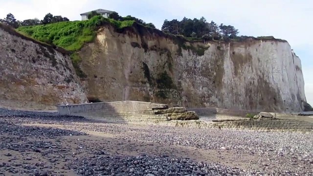 Bois de Cise-Plage 2023