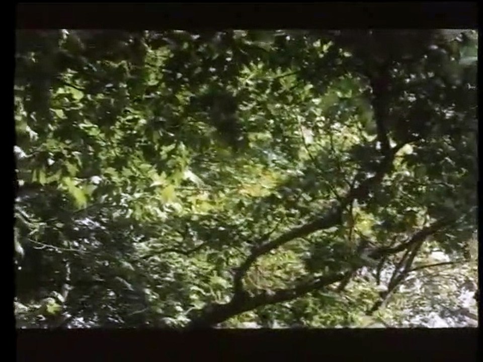 ΠΕΤΡΙΝΑ ΧΡΟΝΙΑ - 1985 - DVDRip - 720x576 - Α' Μ...