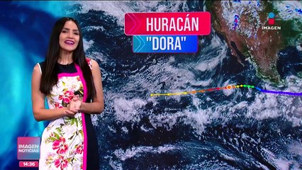 Cambia el color de los océanos durante los últimos 20 años