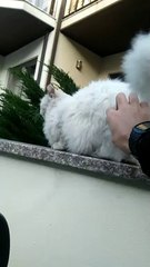 Quand les rayures sont bonnes