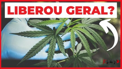 ENTENDA O JULGAMENTO NO STF PARA DESCRIMINALIZAR O PORTE DE DROGAS