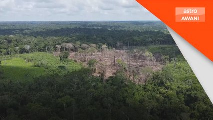 Rangka polisi bersama kali pertama untuk hutan Amazon