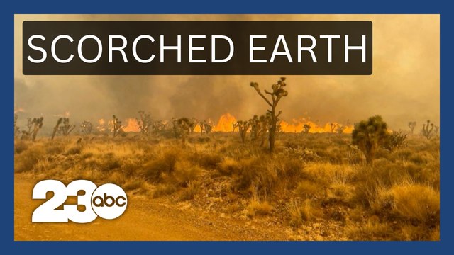 Heat Alerts and Wildfires Wreak Havoc Across States