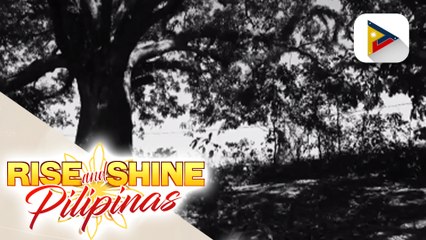 'Cinemalaya', taunang pagdirawang na nagbibigay-daan sa likha ng indie filmmakers, alamin!