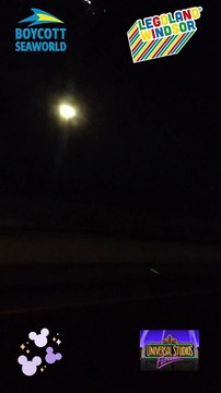 Florida Attractions a Orlando, FL 2023