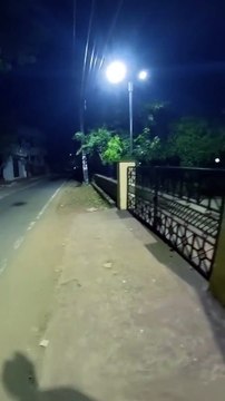 Serbian Dancing Lady Part 1 _ Indian Parkour _ Dancing Lady _