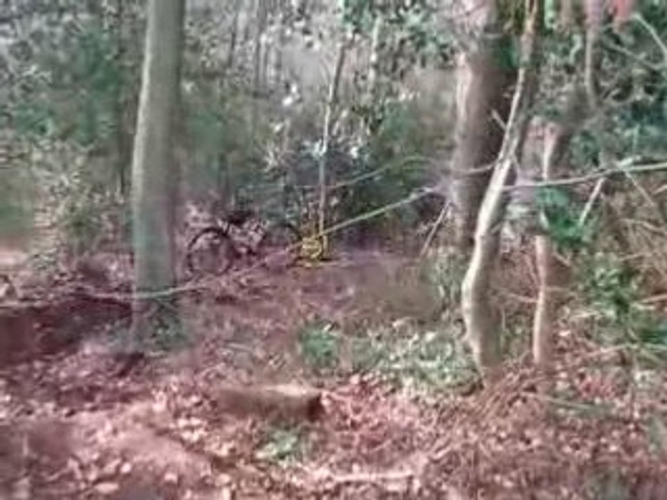 DH Spy 20