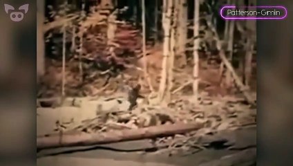 WARNING! These Scary Videos May Cause Anxiety