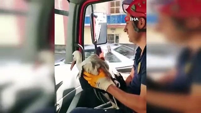 İtfaiye ekipleri yavru leyleği ölüme terk etmedi