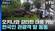 6호 태풍 오키나와 강타, 인명피해 속출...한국인 관광객도 발 묶여 / YTN