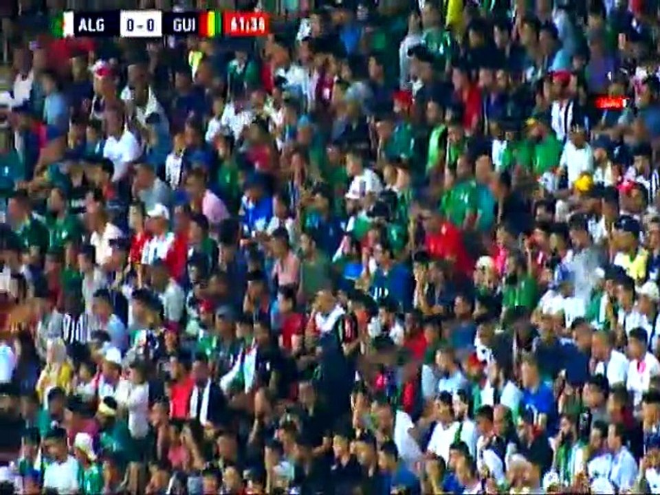 Algérie - Guinée 2MT (2022)
