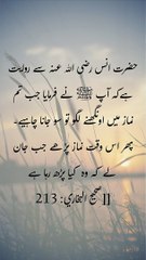 Hadees | Daily hadees | Sahih Bukhari 213 | rozana hadees | Quran aur hadees || Daily Blink #shorts