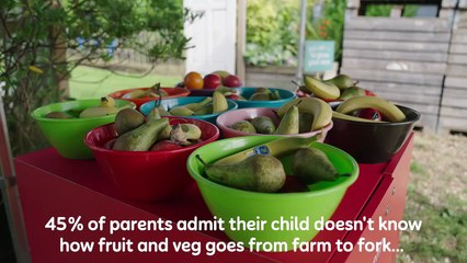 Many kids don't even understand how fruit and veg get from the farm to their plates